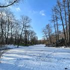 Winter in Berlin-Tiergarten