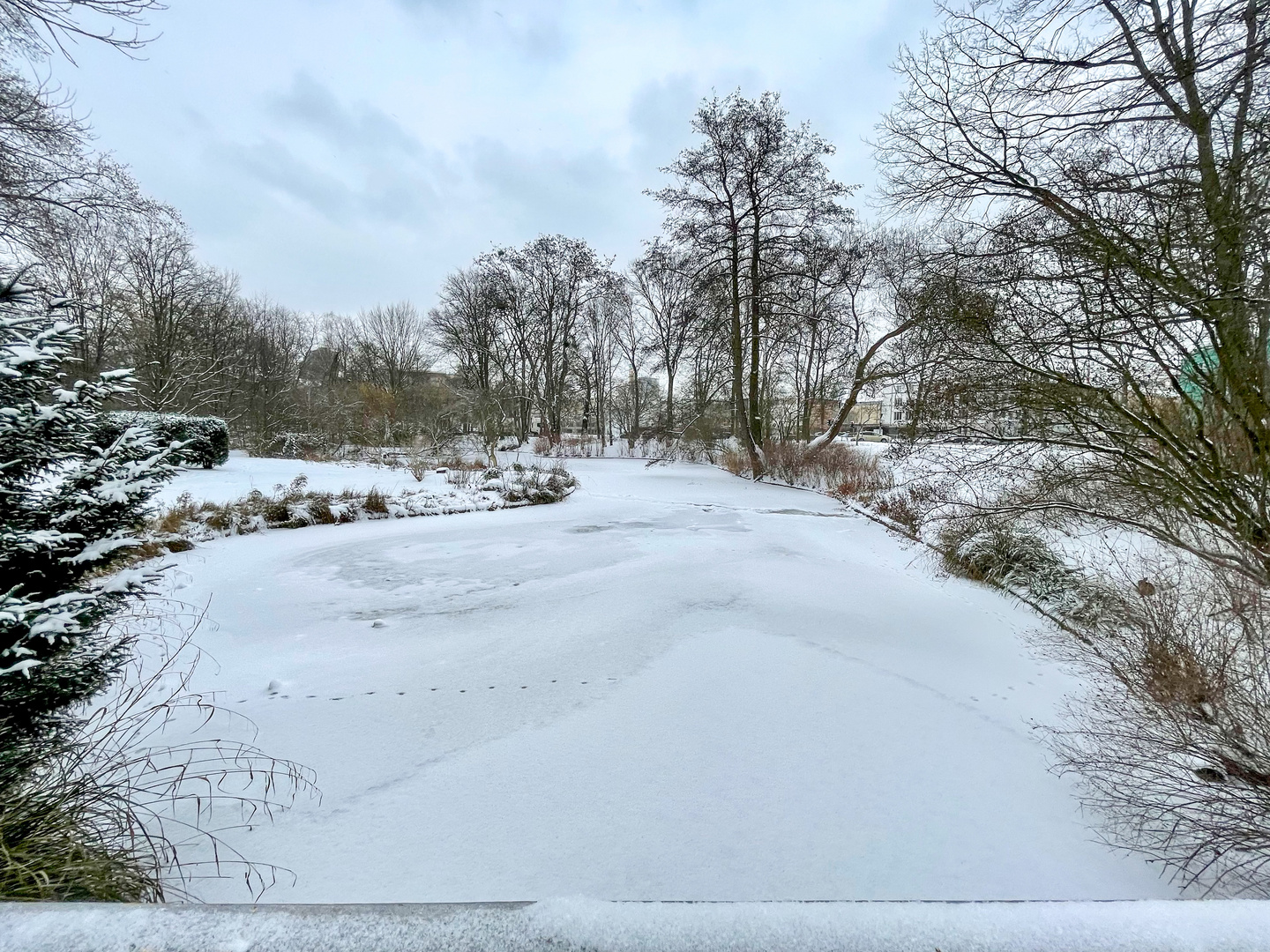 Winter in Berlin-Tiergarten