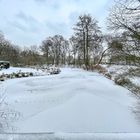 Winter in Berlin-Tiergarten