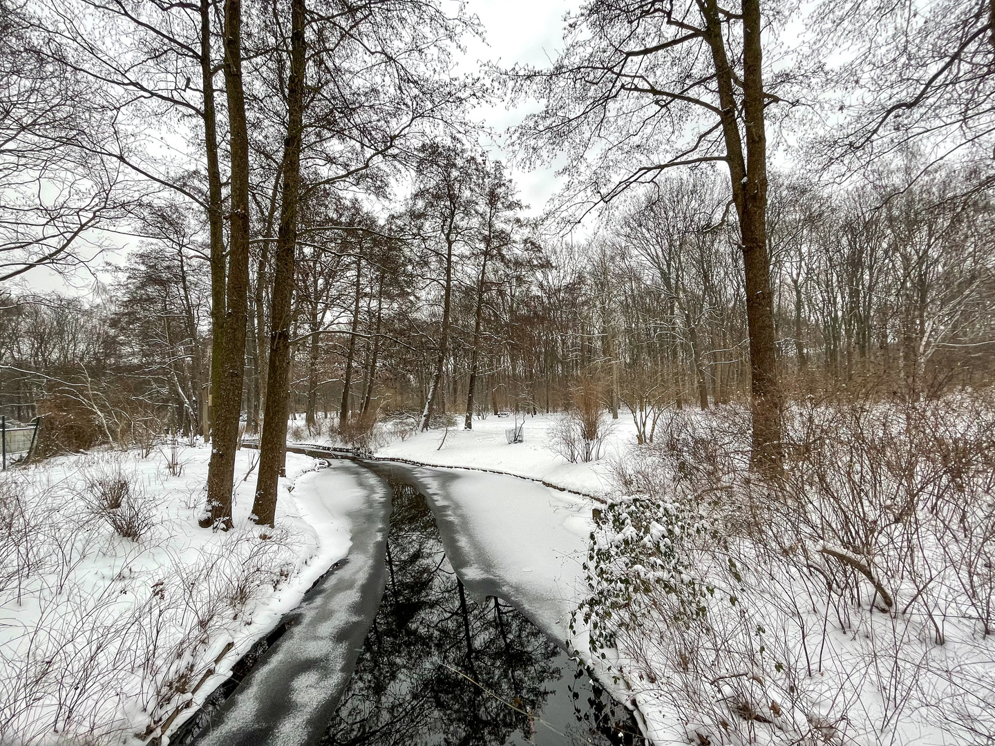 Winter in Berlin-Tiergarten