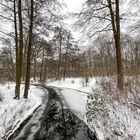 Winter in Berlin-Tiergarten