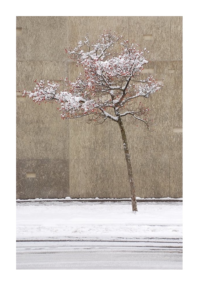 Winter in Bern beim Historischen Museum