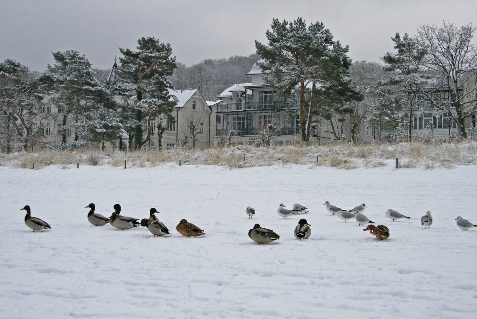 Winter in Binz