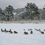 Winter in Binz