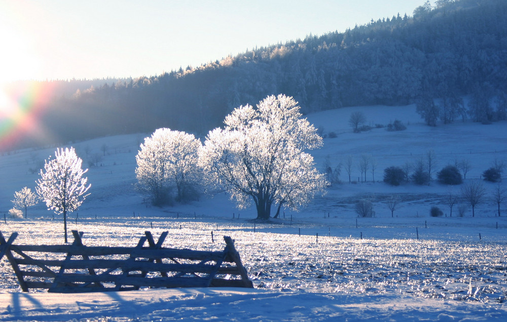 Winter in blau