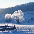 Winter in blau