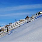 winter in blue and white