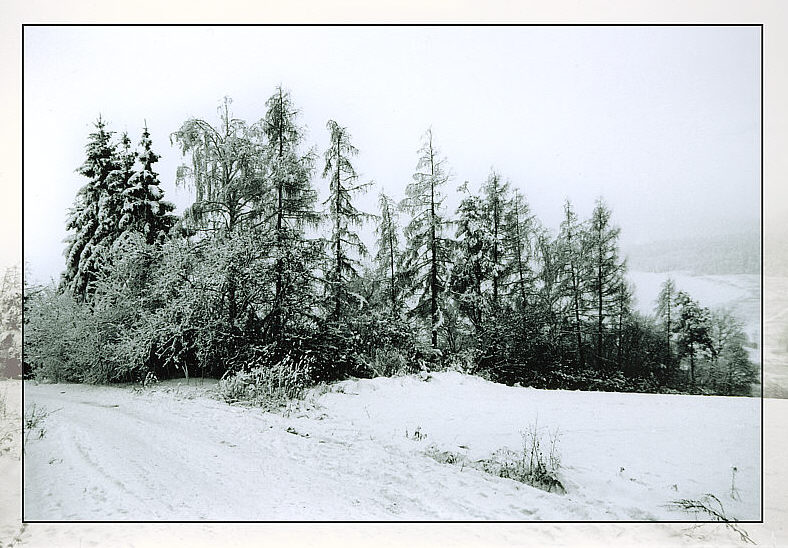 Winter in Böhmen