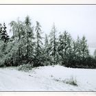 Winter in Böhmen