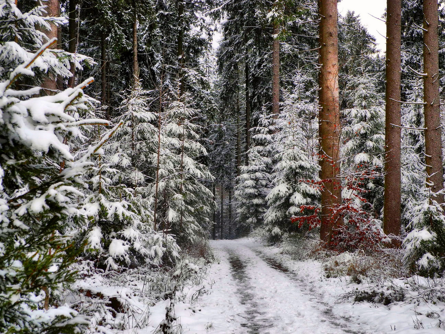 Winter in Böhmenkirch