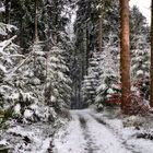 Winter in Böhmenkirch