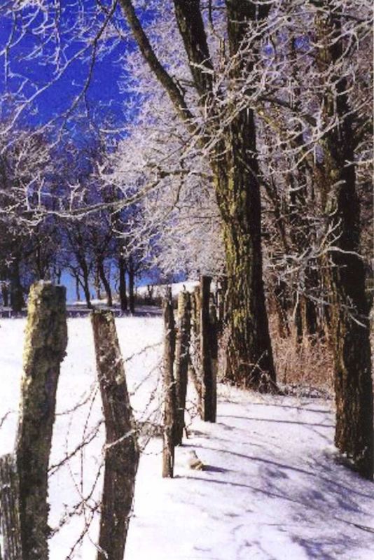 Winter in Boone, North Carolina, USA by Laurie Koster