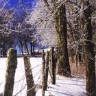 Winter in Boone, North Carolina, USA