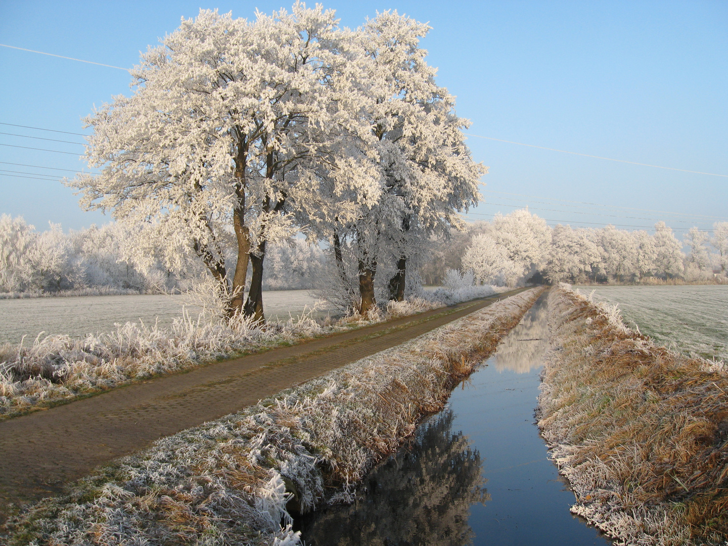 Winter in Borgfeld