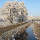 Winter in Borgfeld