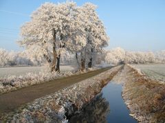 Winter in Borgfeld