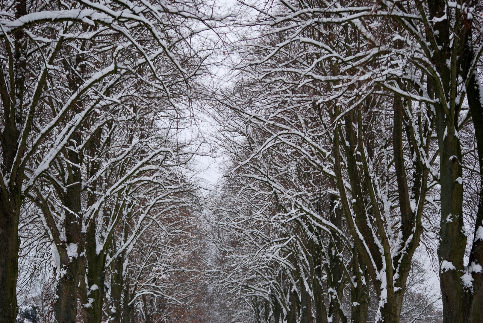 Winter in Brakel