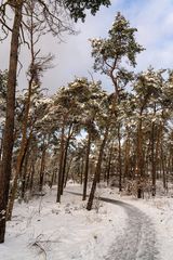 Winter in Brandenburg