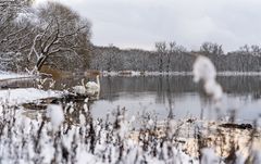 Winter in Brandenburg