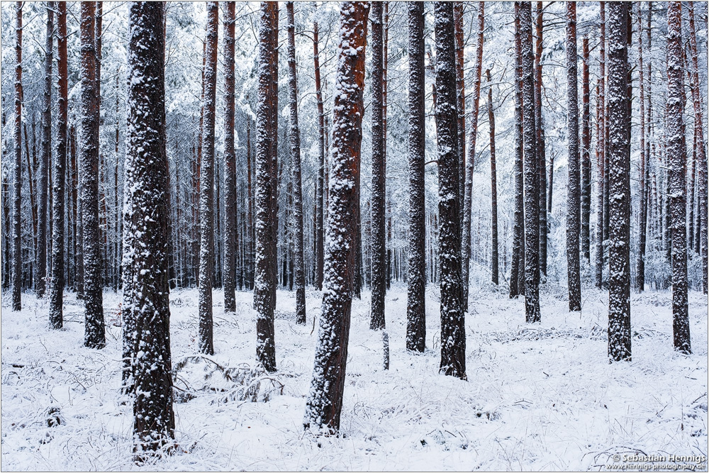 ~ Winter in Brandenburg ~