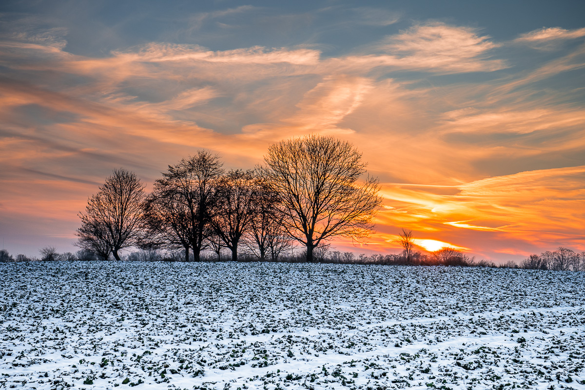 Winter in Brandenburg