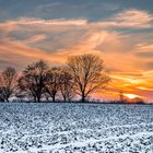 Winter in Brandenburg