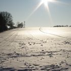 Winter in Brandenburg