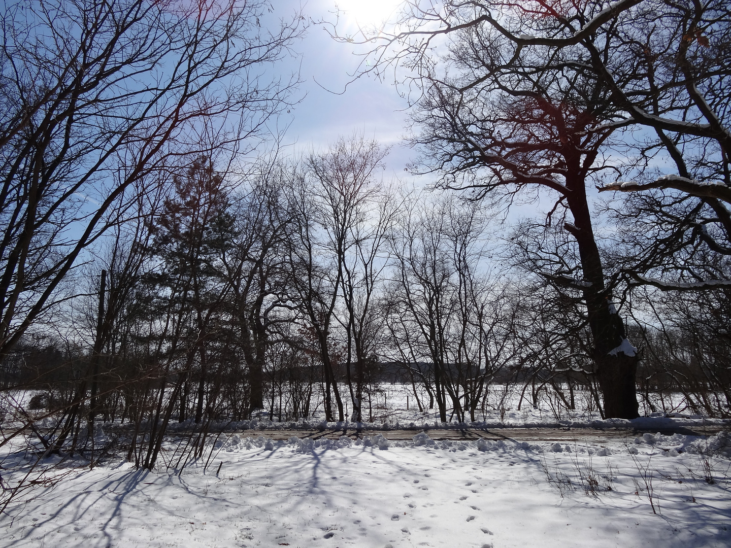 Winter in Brandenburg