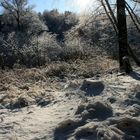 Winter in Brandenburg