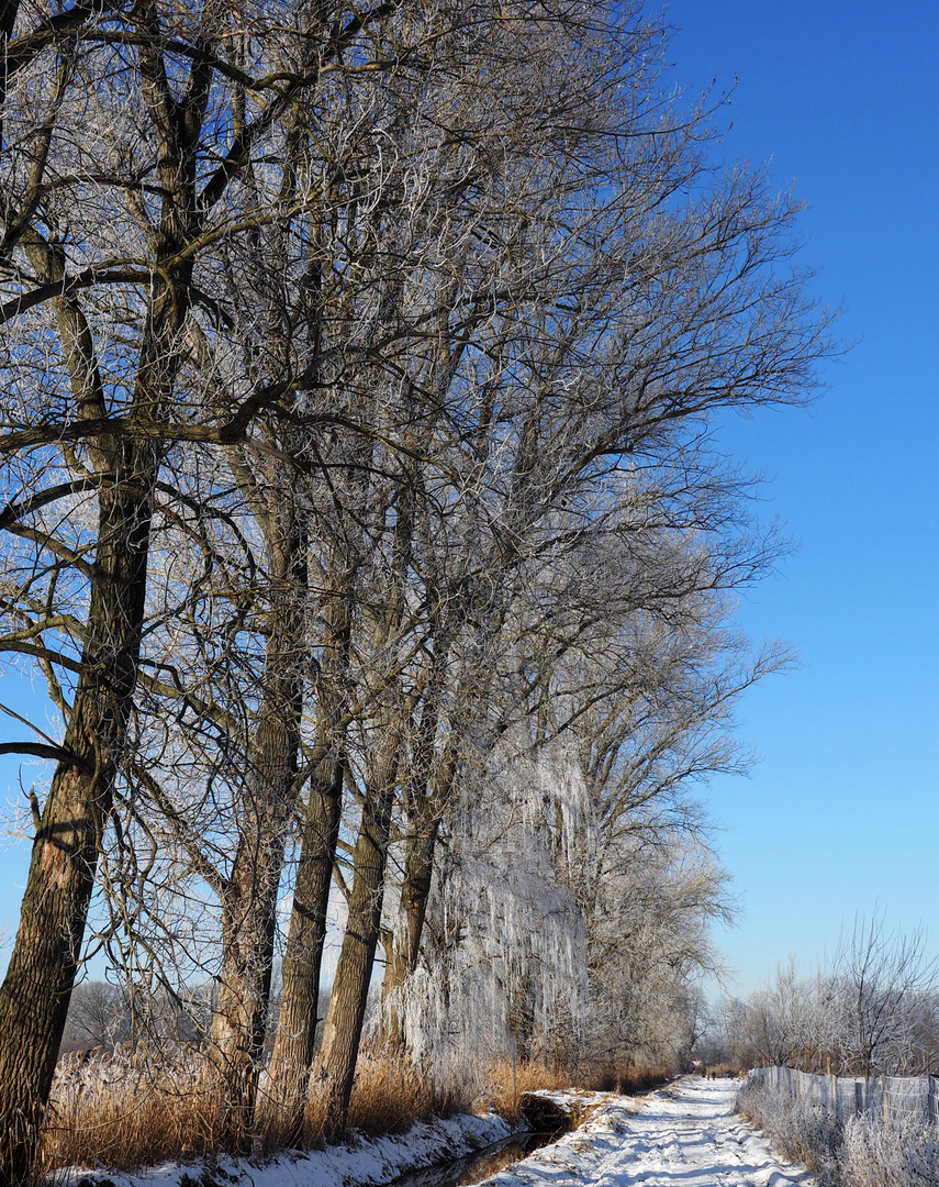 Winter in Brandenburg