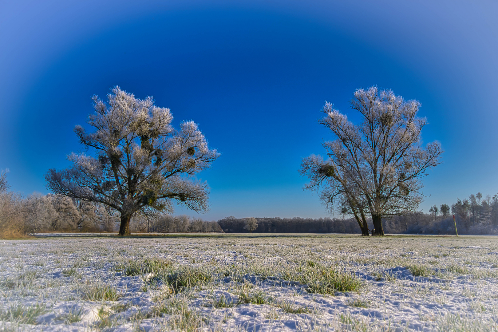 Winter in Brandenburg