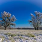 Winter in Brandenburg