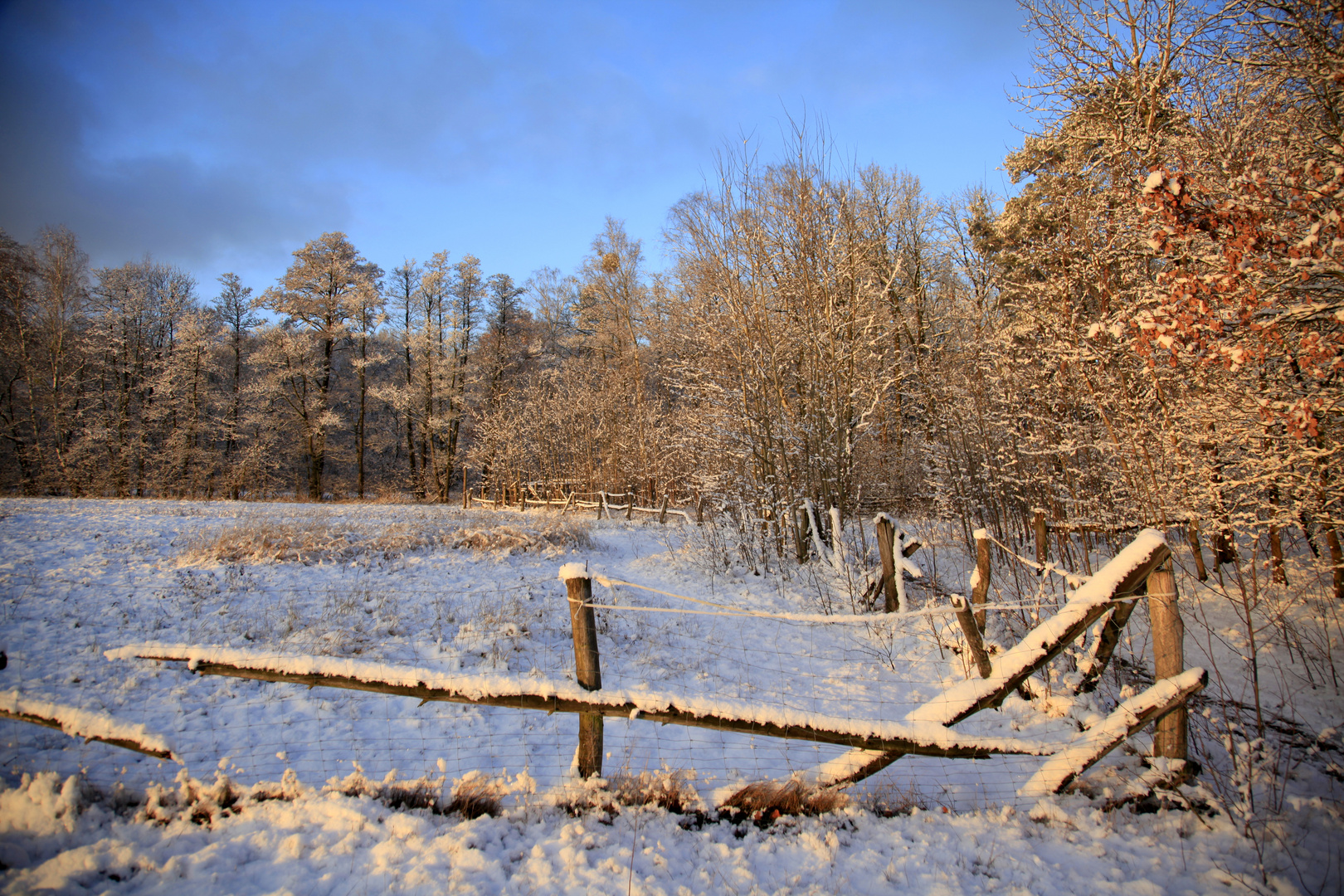 Winter in Brandenburg