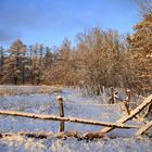 Winter in Brandenburg