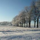 Winter in Brandenburg