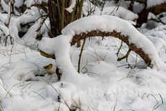 Winter in Brandenburg