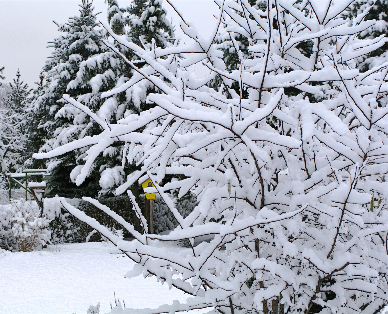 Winter in Brandenburg_1