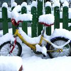 Winter in Brandenburg_2