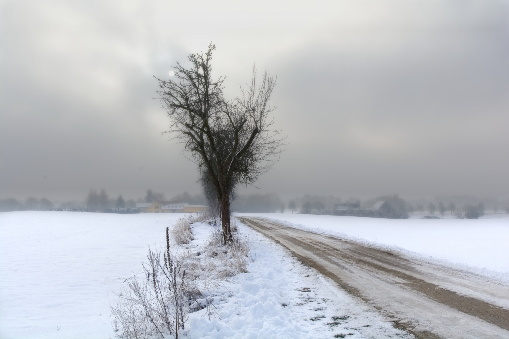 Winter in Brandenburg_5