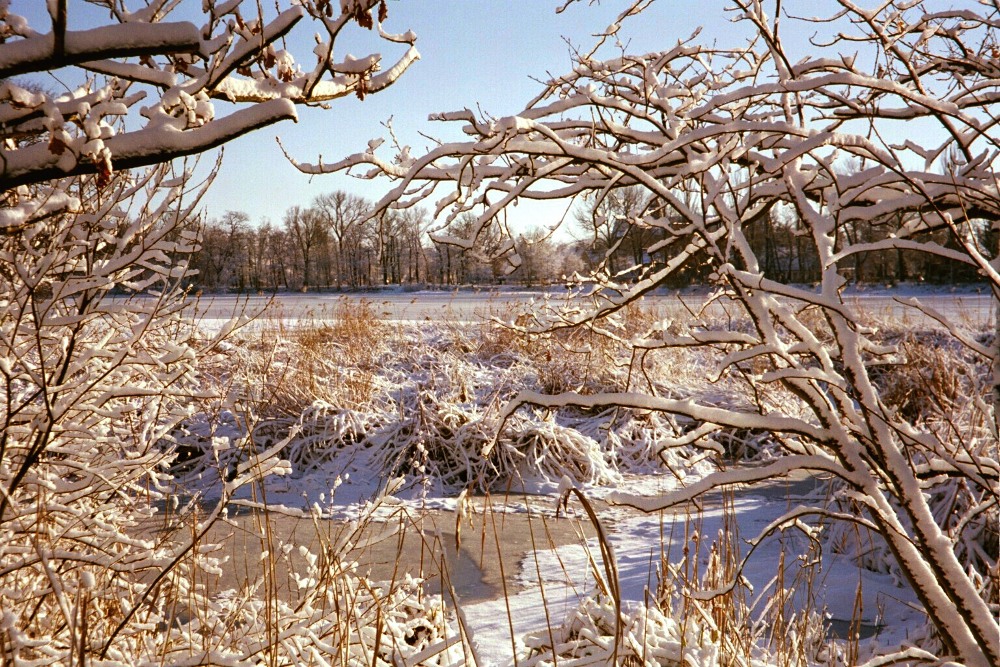 Winter in Braunschweig (1)