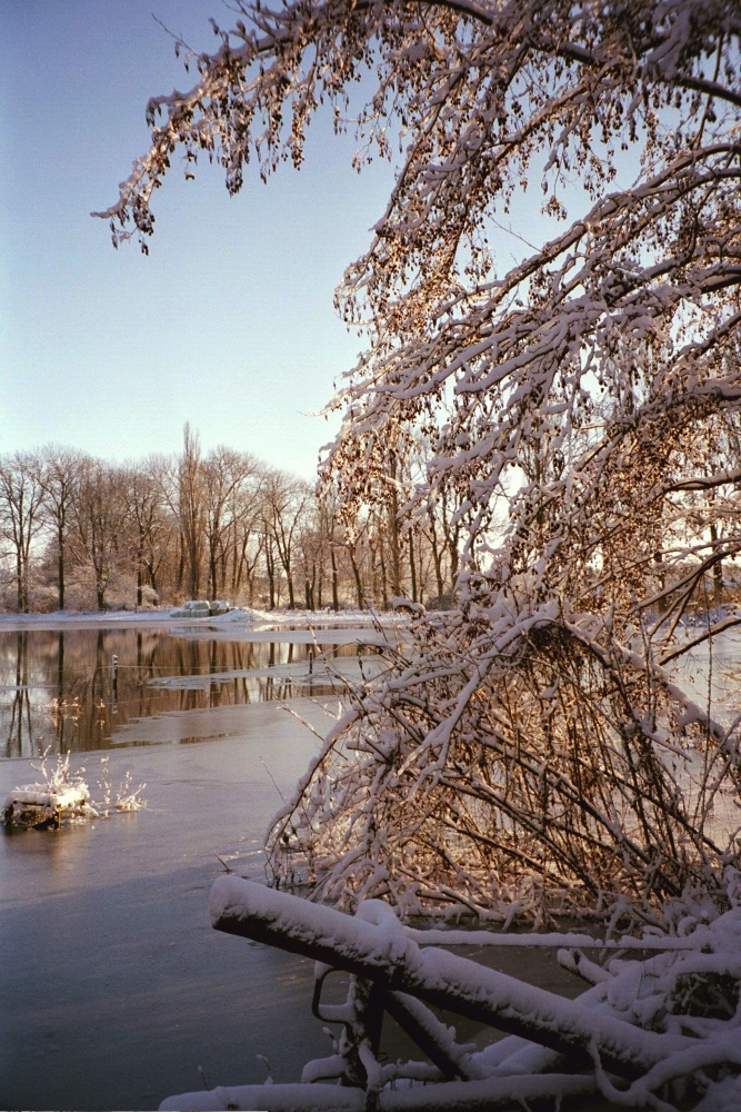 Winter in Braunschweig (3)