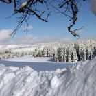 Winter in Breitnau