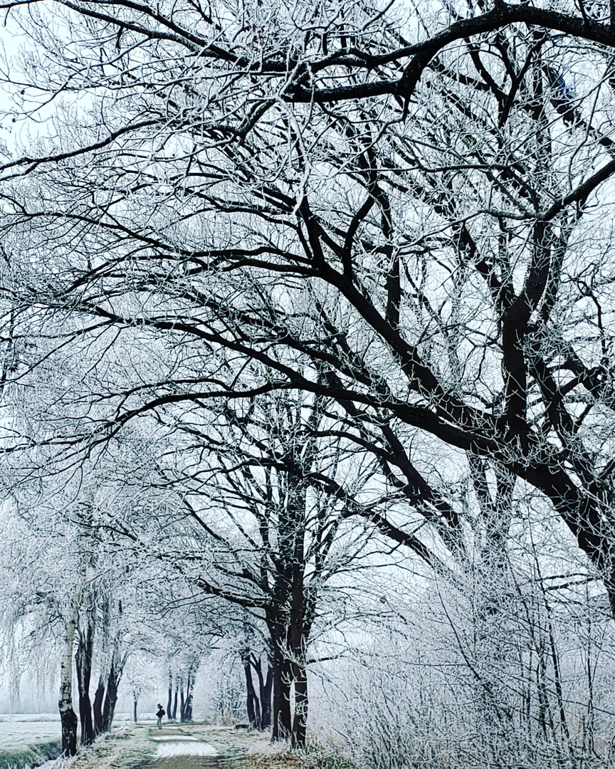 Winter in Bremen Borgfeld 