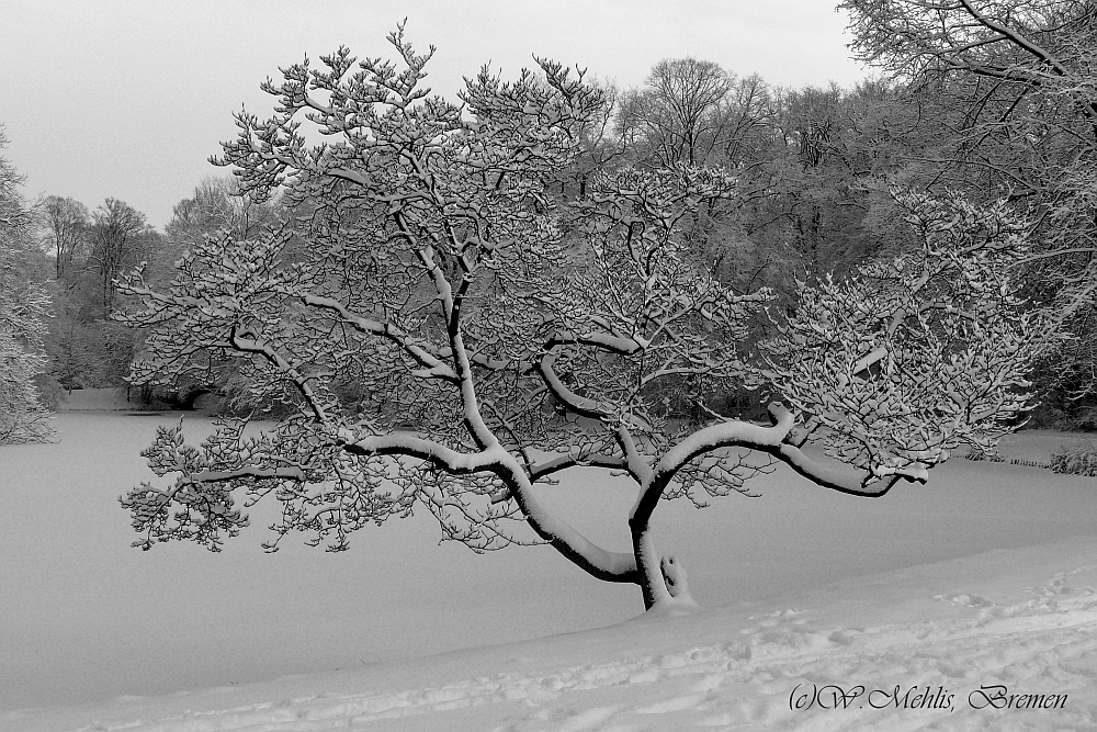 Winter in Bremen