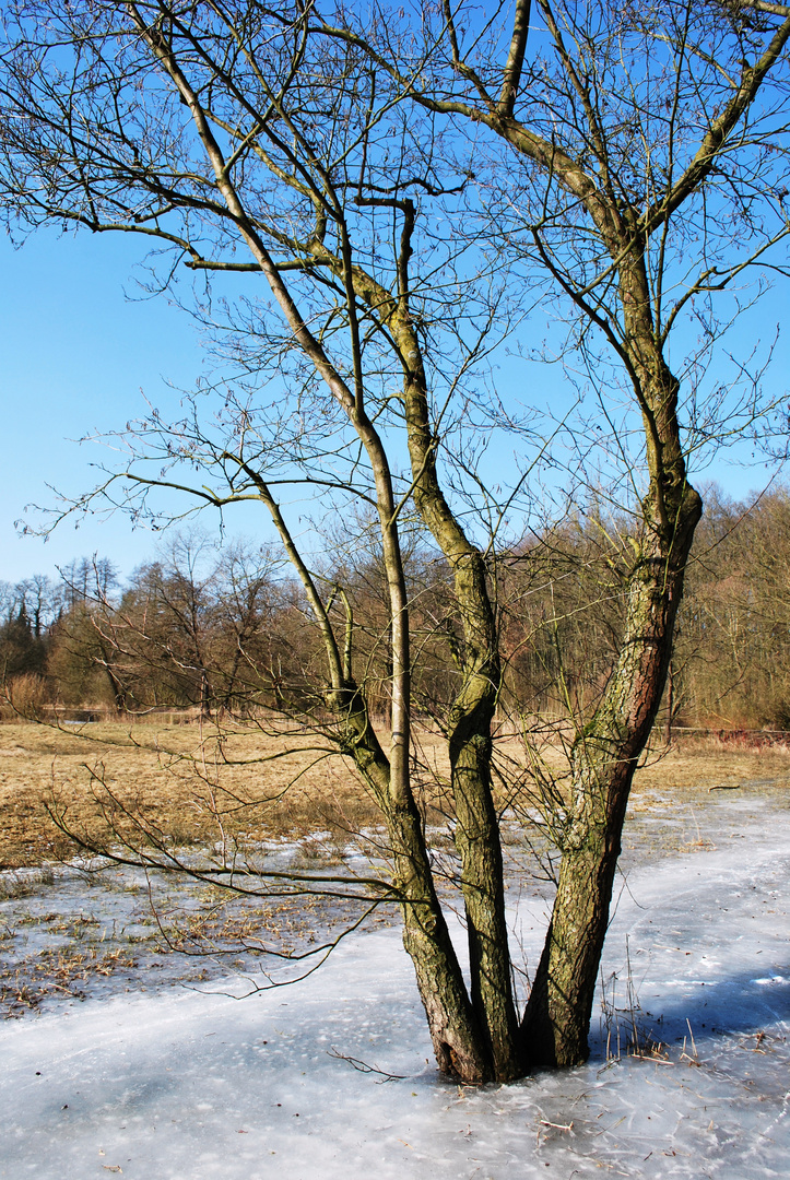 Winter in Bremen-Schönebeck