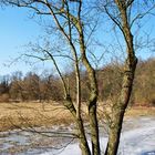 Winter in Bremen-Schönebeck