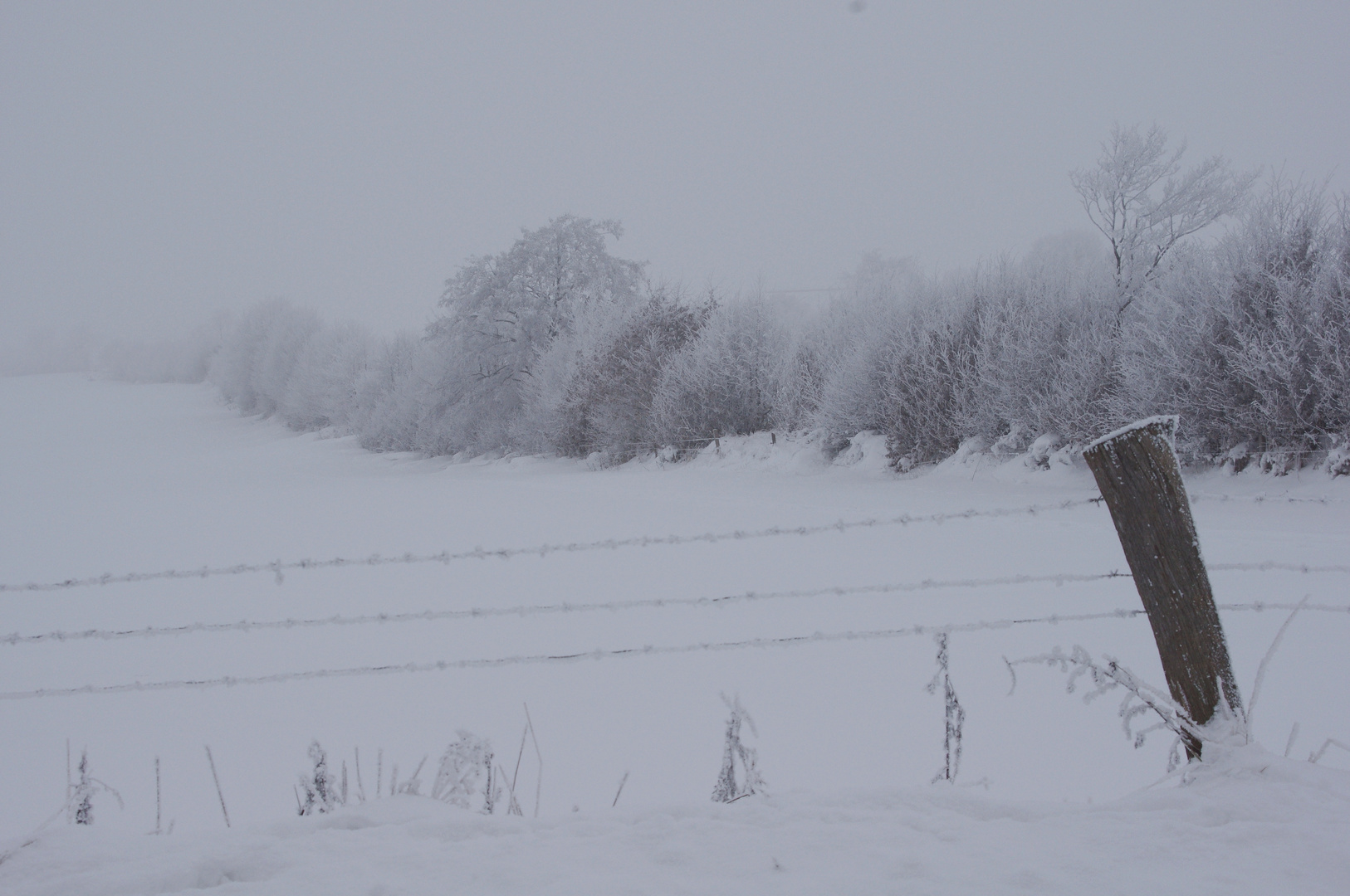 Winter in Brügge (S-H) bei Bordesholm