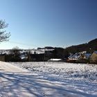 Winter in Büdesheim