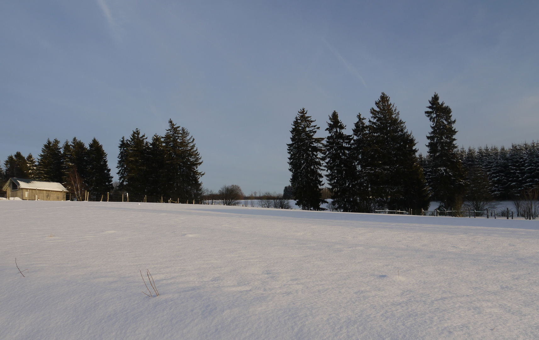 Winter in Büllingen 1