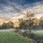 winter in bunt- weihnachtswünsche